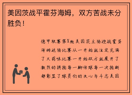 美因茨战平霍芬海姆，双方苦战未分胜负！